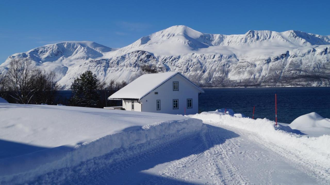Heggelund Villa Svensby Dış mekan fotoğraf