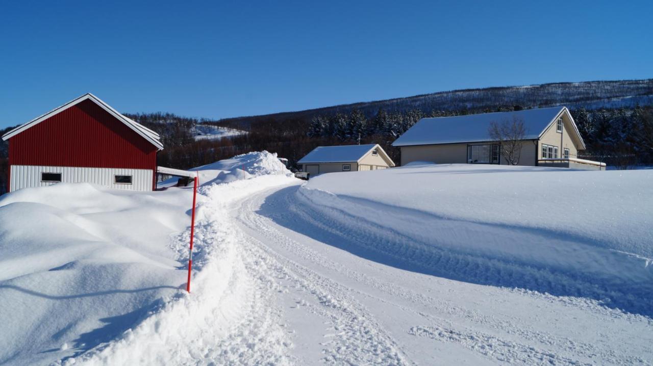 Heggelund Villa Svensby Dış mekan fotoğraf
